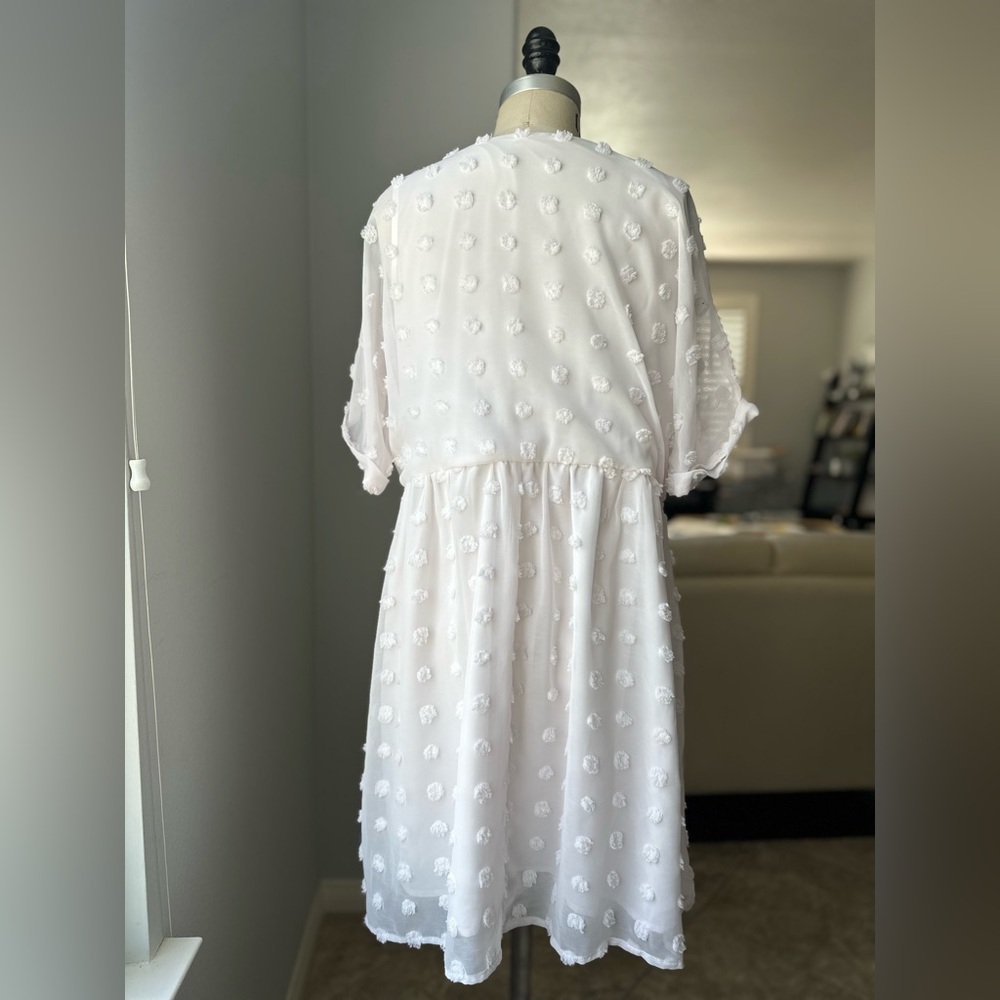 Elegant Loose Textured Pom Pom Baby doll Dress - Picture 3 of 5